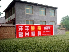 西昌如何让墙体广告展现最大化效果