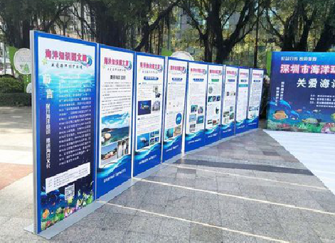 西昌KT板的种类和知识。